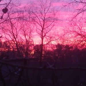 Meet your Posher, Roxanne